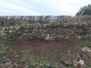 Repaired drystone wall at field boundary