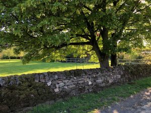 Drystone wall after rebuild, Matlock.