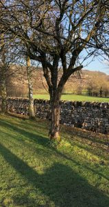 Drystone garden wall