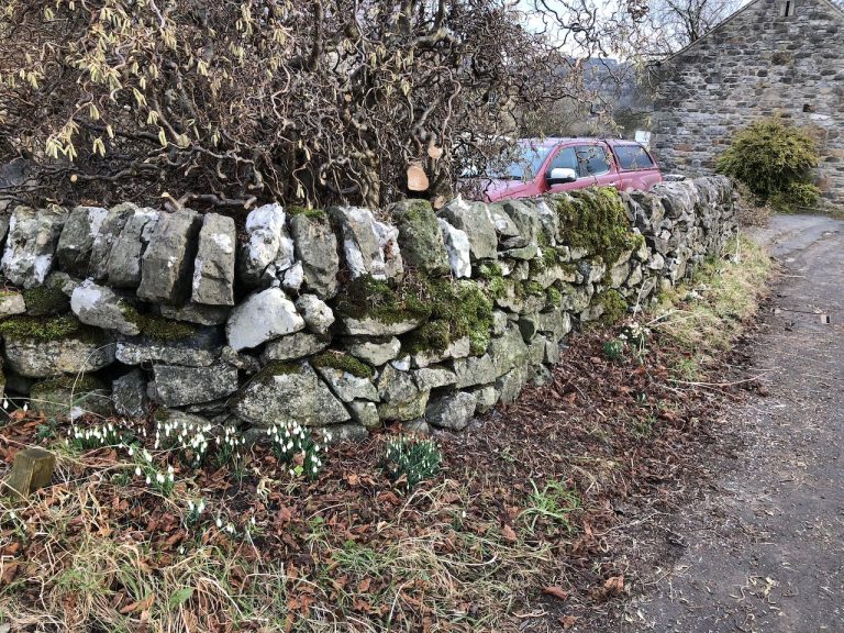 Drystone wall needs rebuilding, Matlock, Derbyshire.